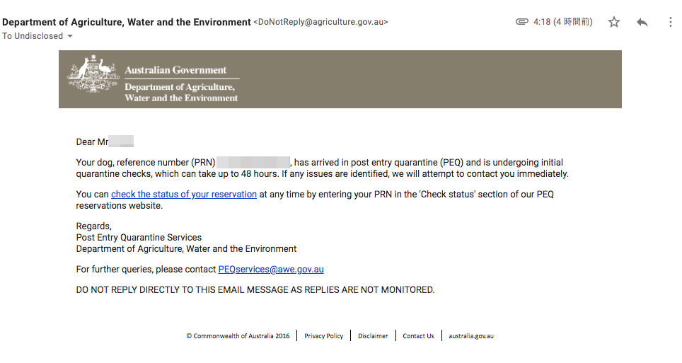 犬をオーストラリアに連れて行く方法 起業と移住